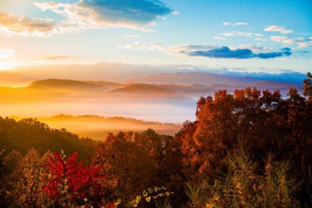 New Majestic 5 Star Amazing View, Pool, Hot Tub! Villa Pigeon Forge Buitenkant foto